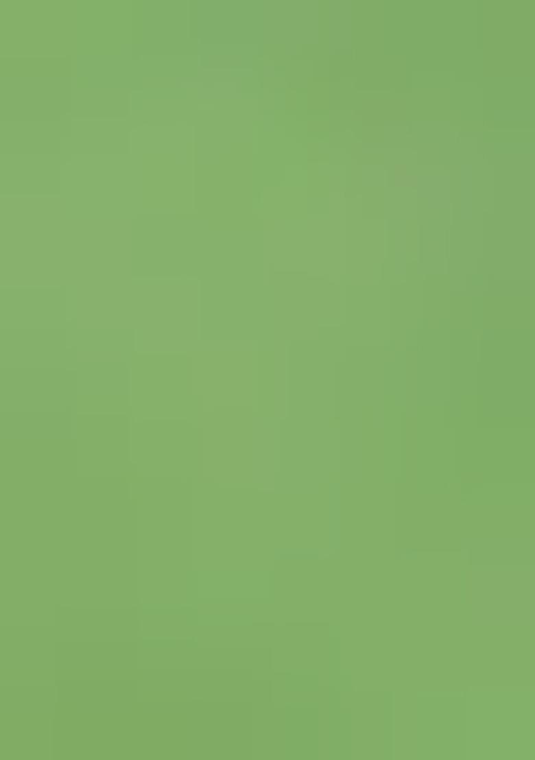 Olive Embellished Organza Kurta Set