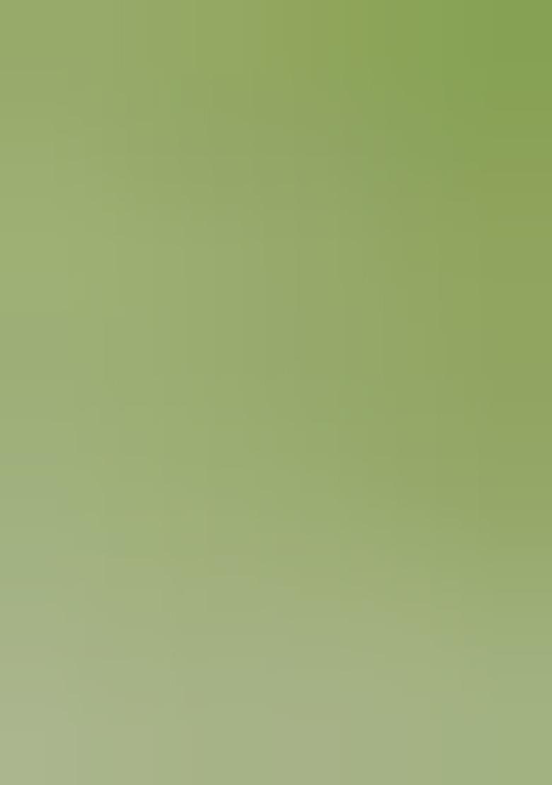 Green Embellished Organza Kurta Set