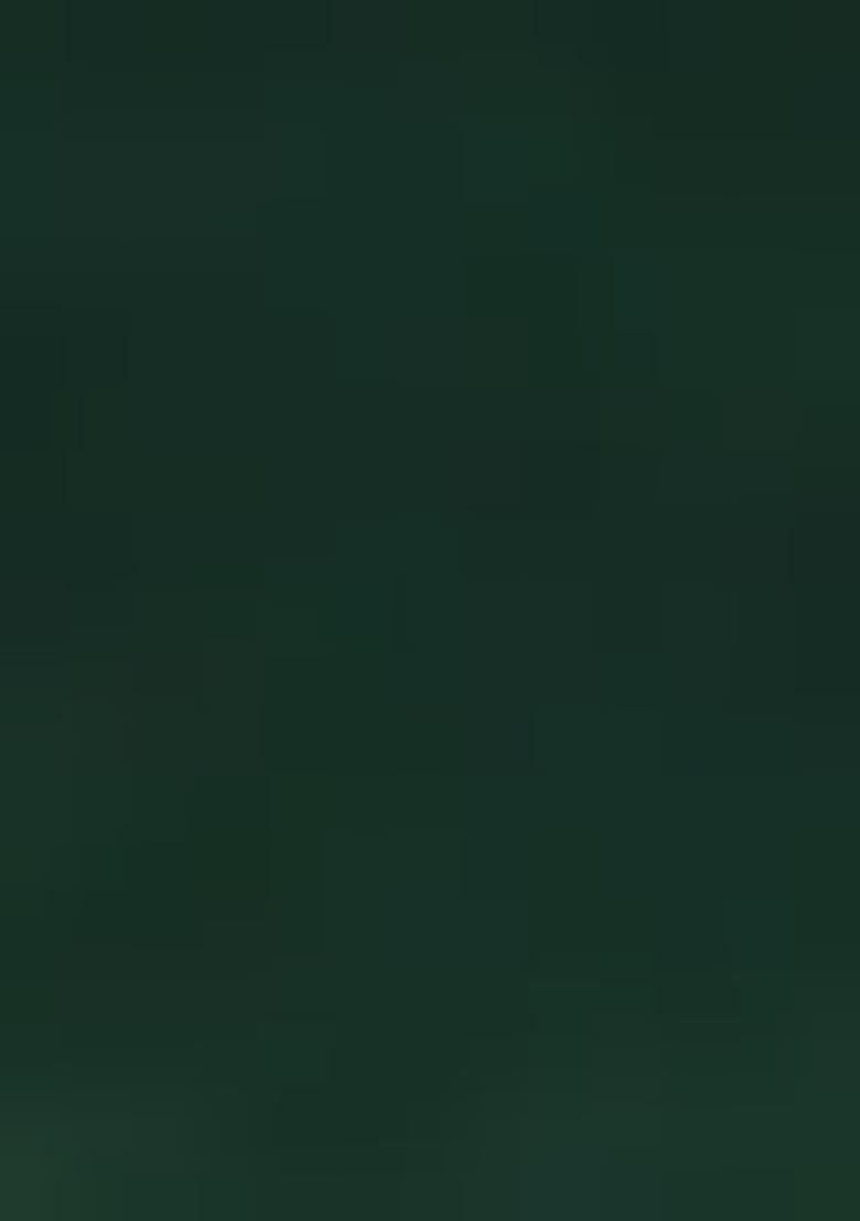 Green Embellished Cotton Kurta Set