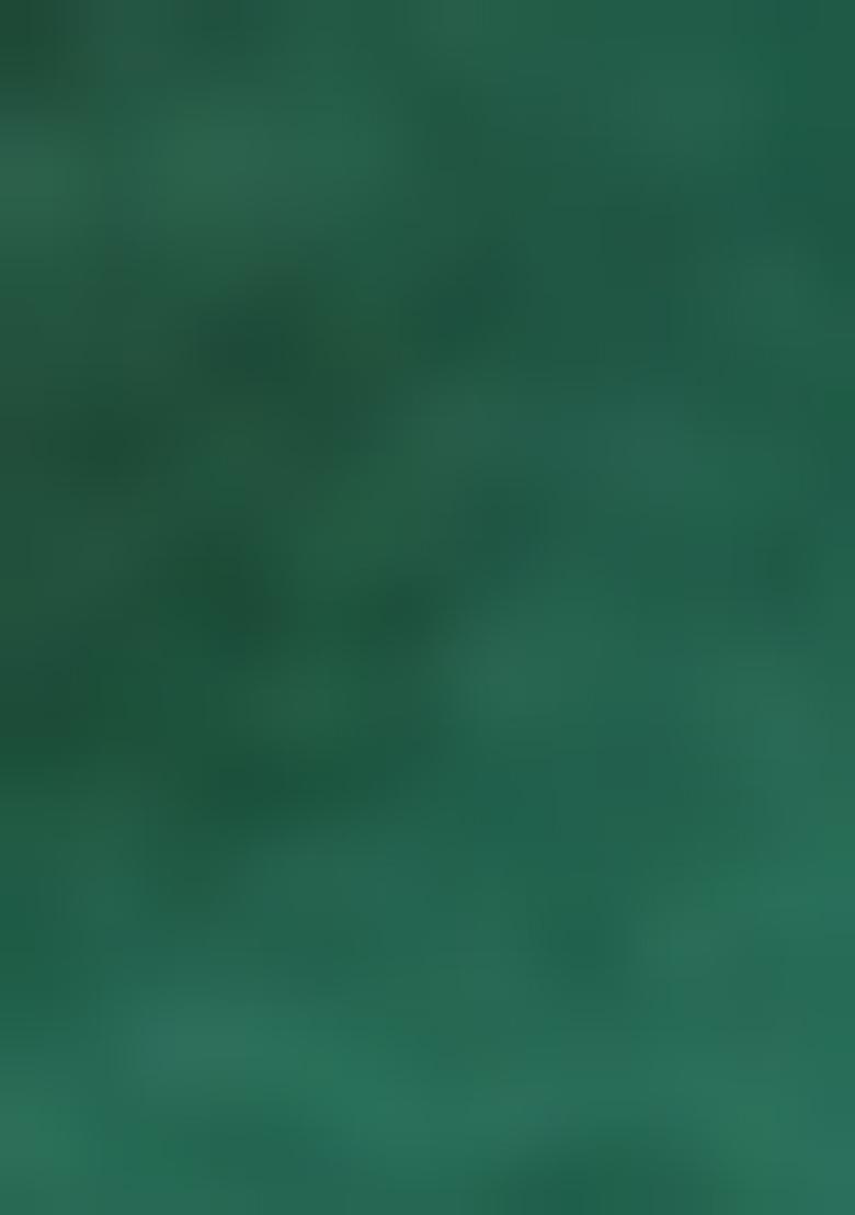 Green Embellished Cotton Kurta Set