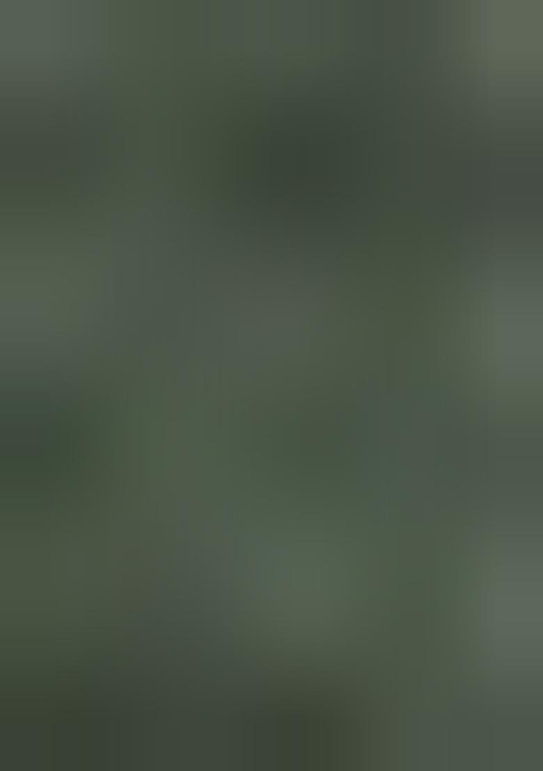 Green Embellished Organza Kurta Set