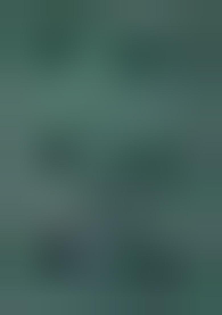 Teal Embellished Organza Kurta Set