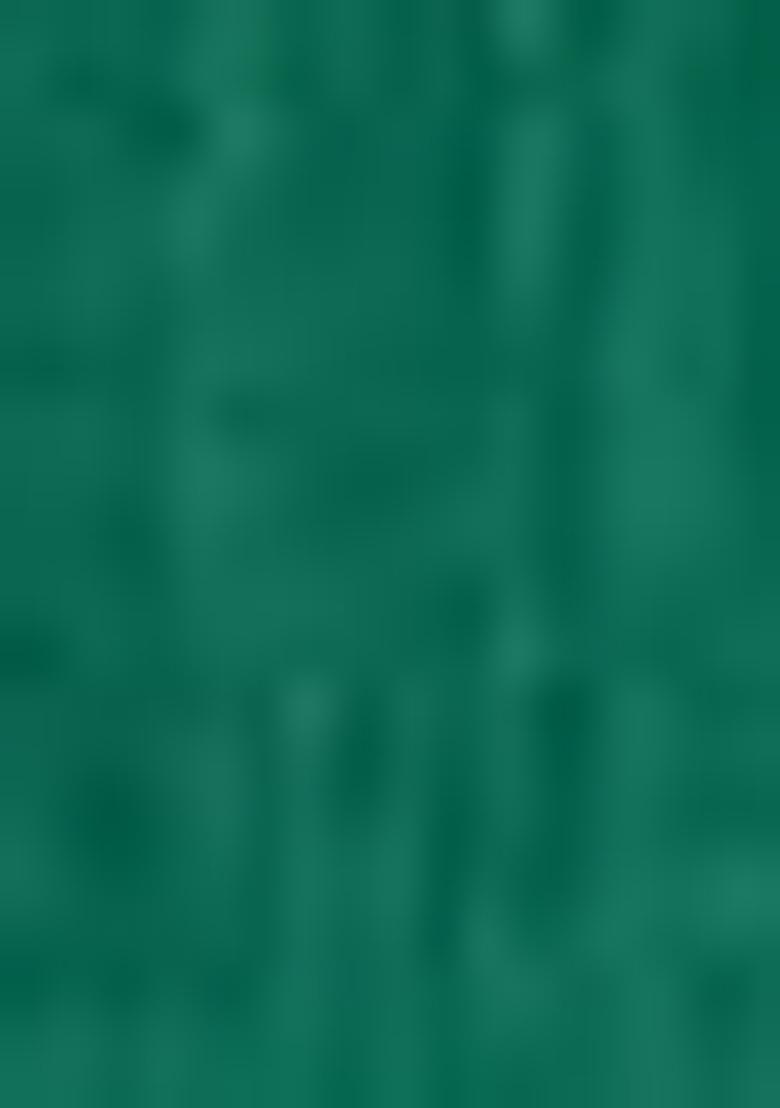 Green Embellished Silk Kurta Set