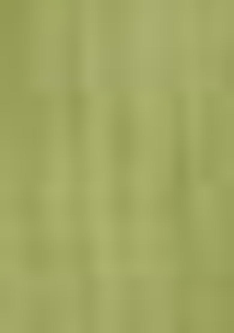 Olive Embellished Silk Kurta Set