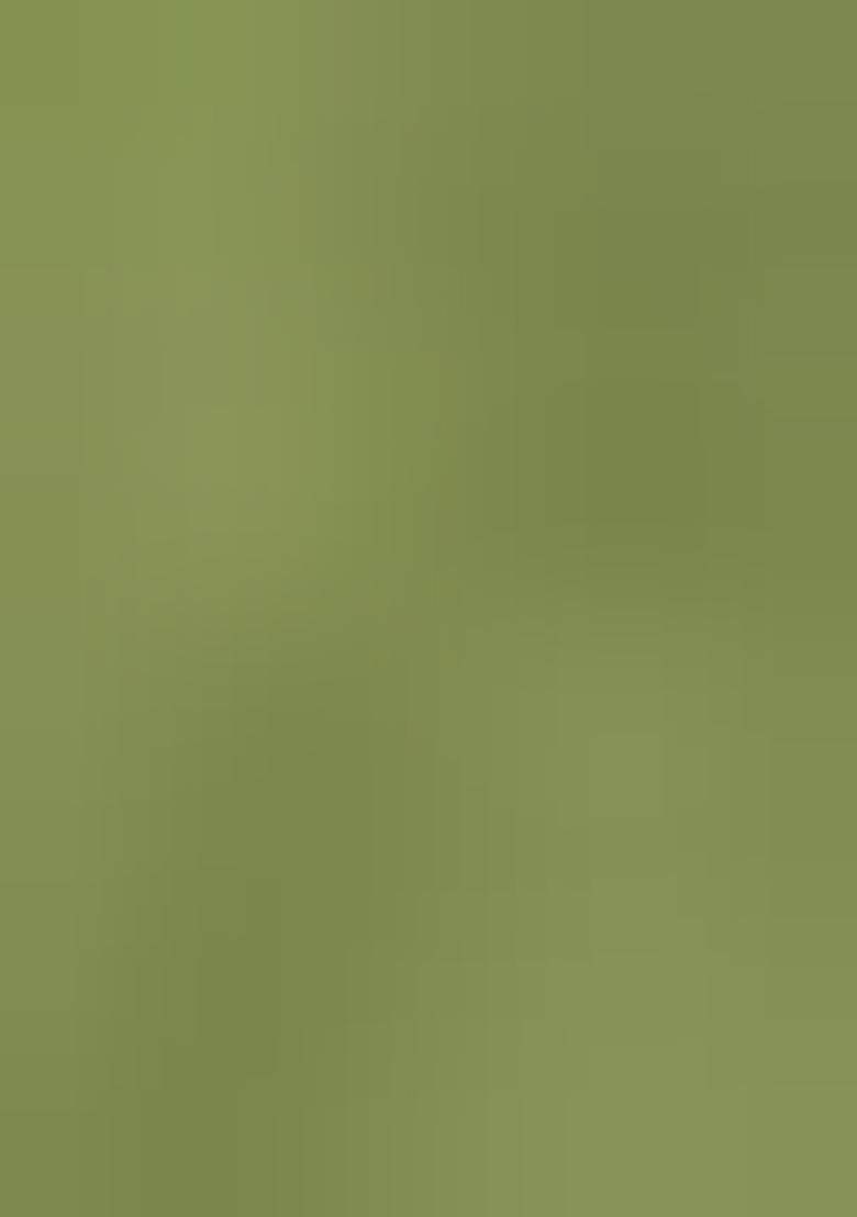 Green Embellished Poly Georgette Kurta Set