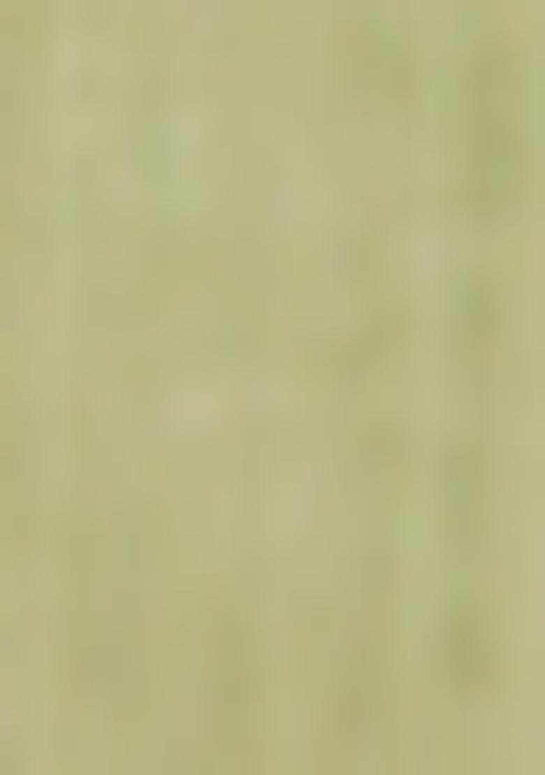 Olive Embellished Cotton Kurta Set