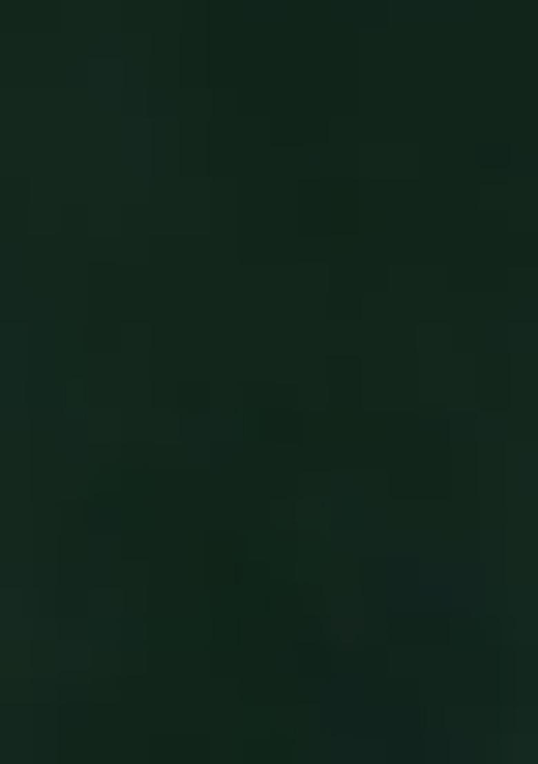 Green Embellished Poly Georgette Kurta Set