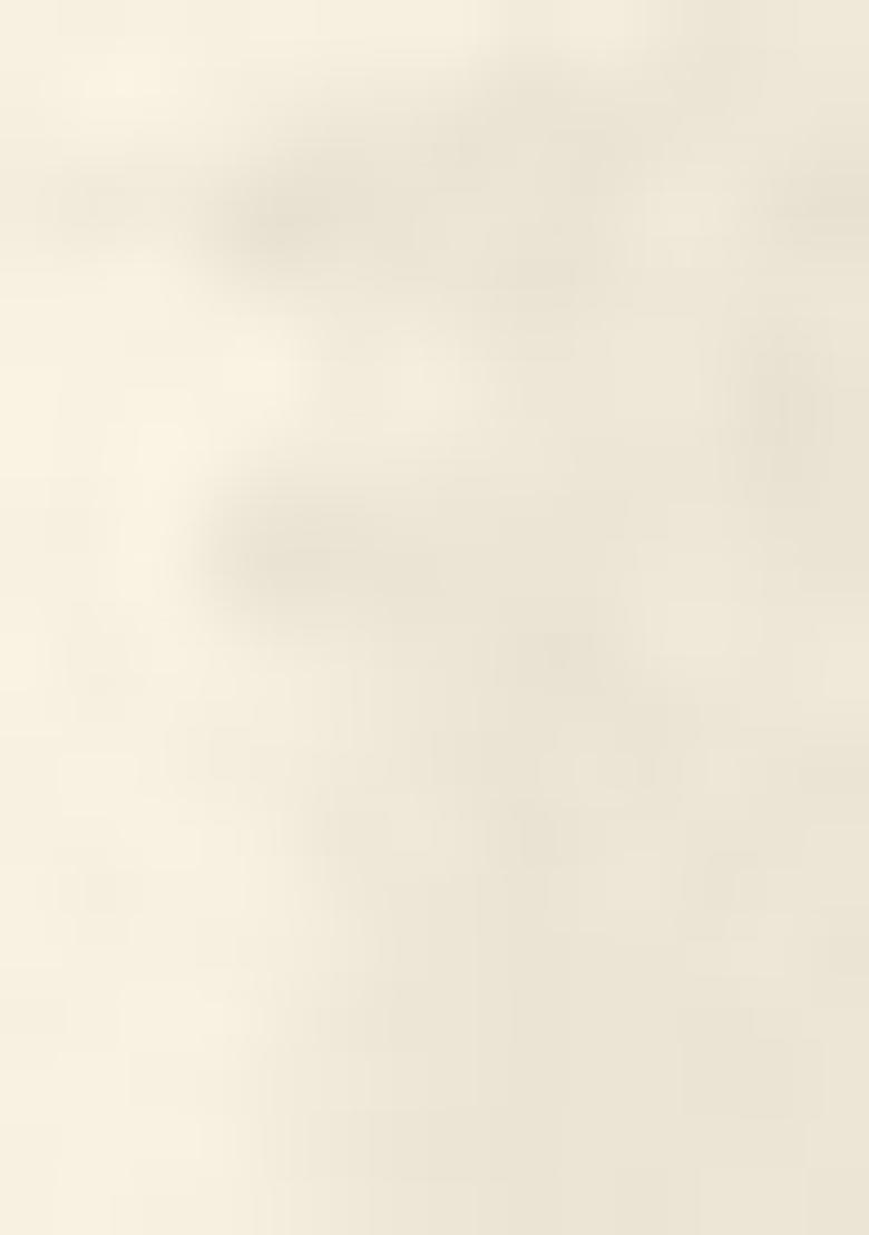 White Embroidered Georgette Sharara Set