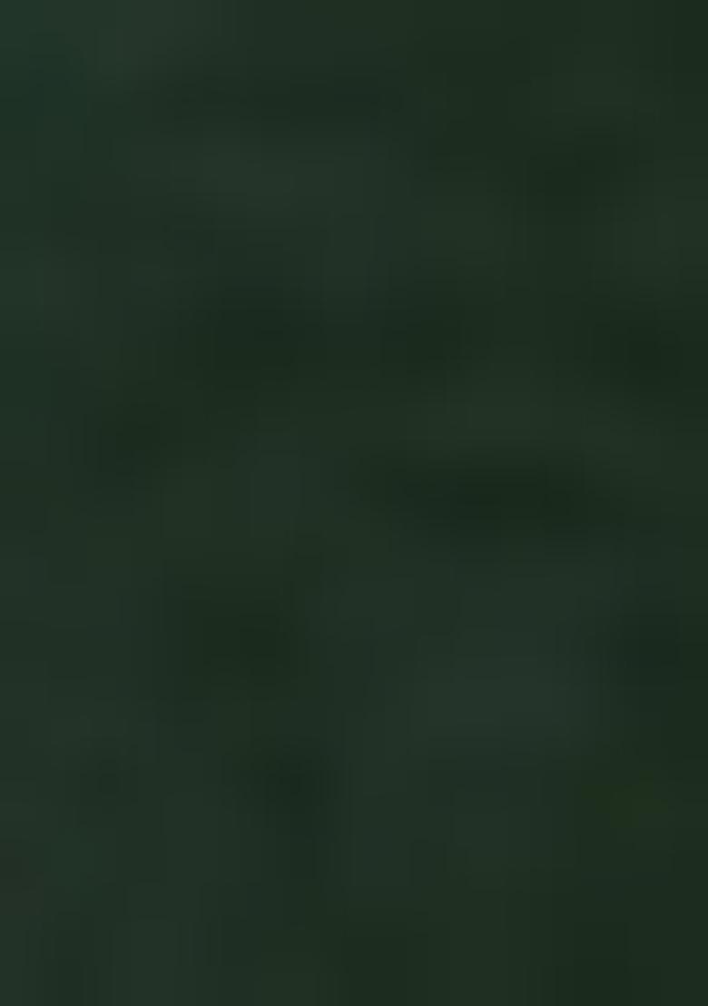 Dark Green Embroidered Chinon Sharara Set