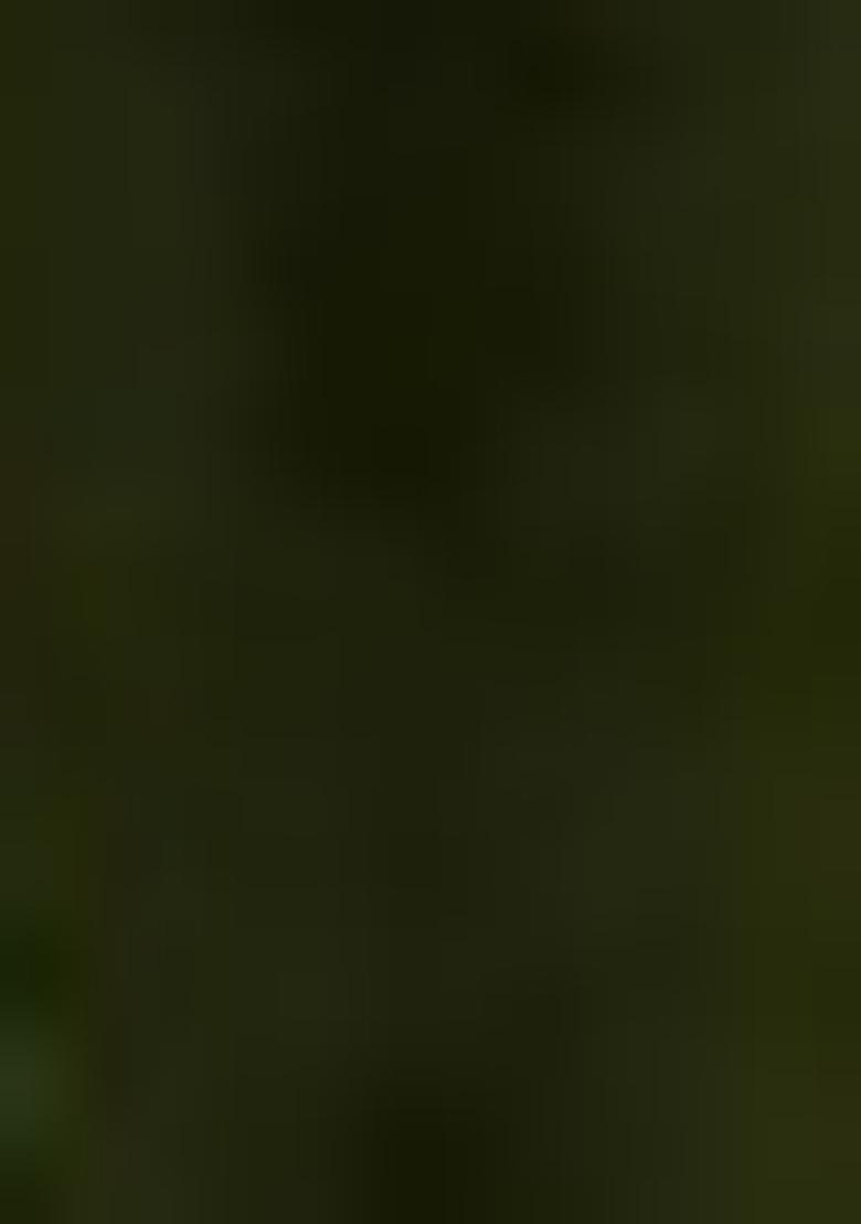 Dark Green Embroidered Velvet Sharara Set