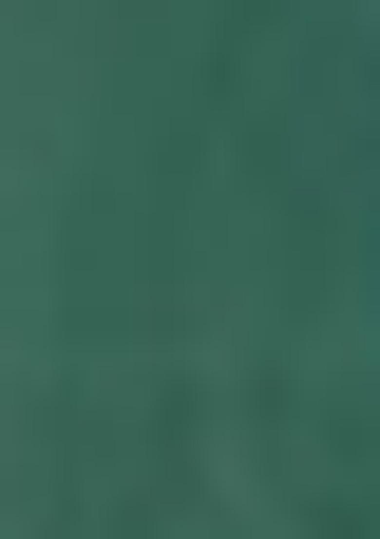 Green Floral Print Silk Kurta Set