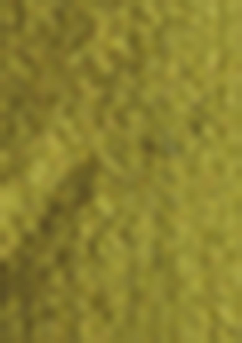 Olive Green Embroidered Chinon Kurta set