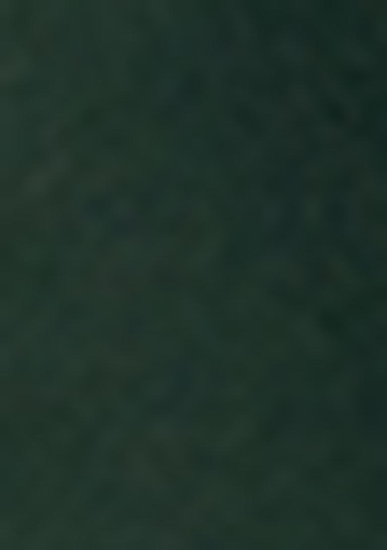 Dark Green Embroidered Chinon Kurta set