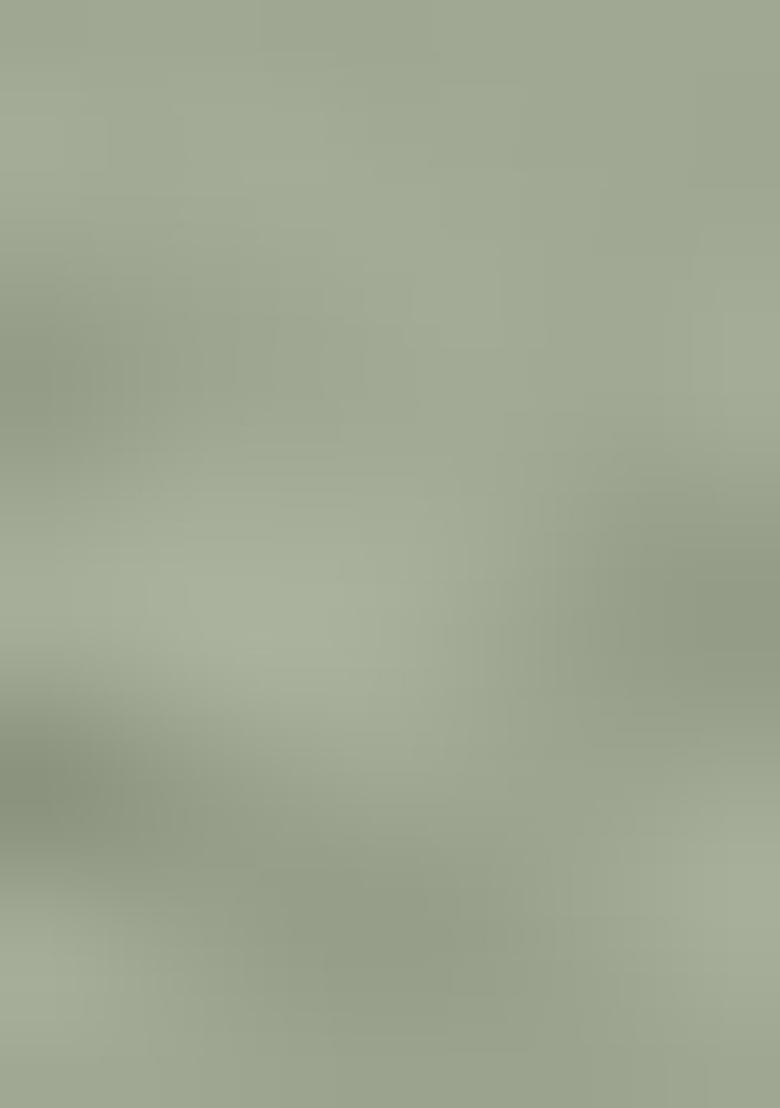 Pista Green Embroidered Organza Kurta set