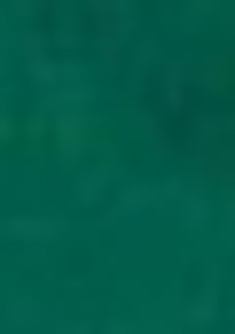 Green Zari Silk Kurta Set