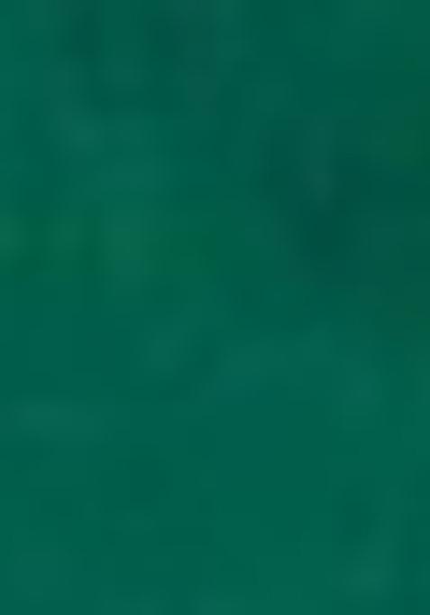 Green Zari Silk Kurta Set