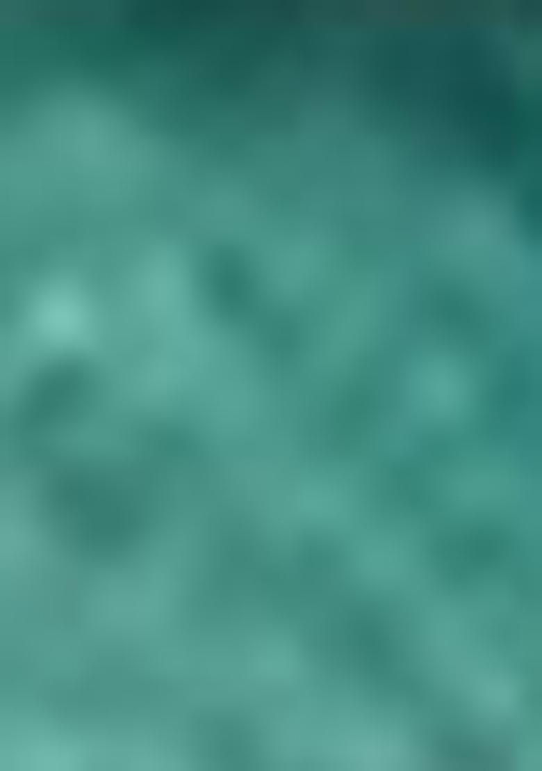 Green Zari Silk Kurta Set