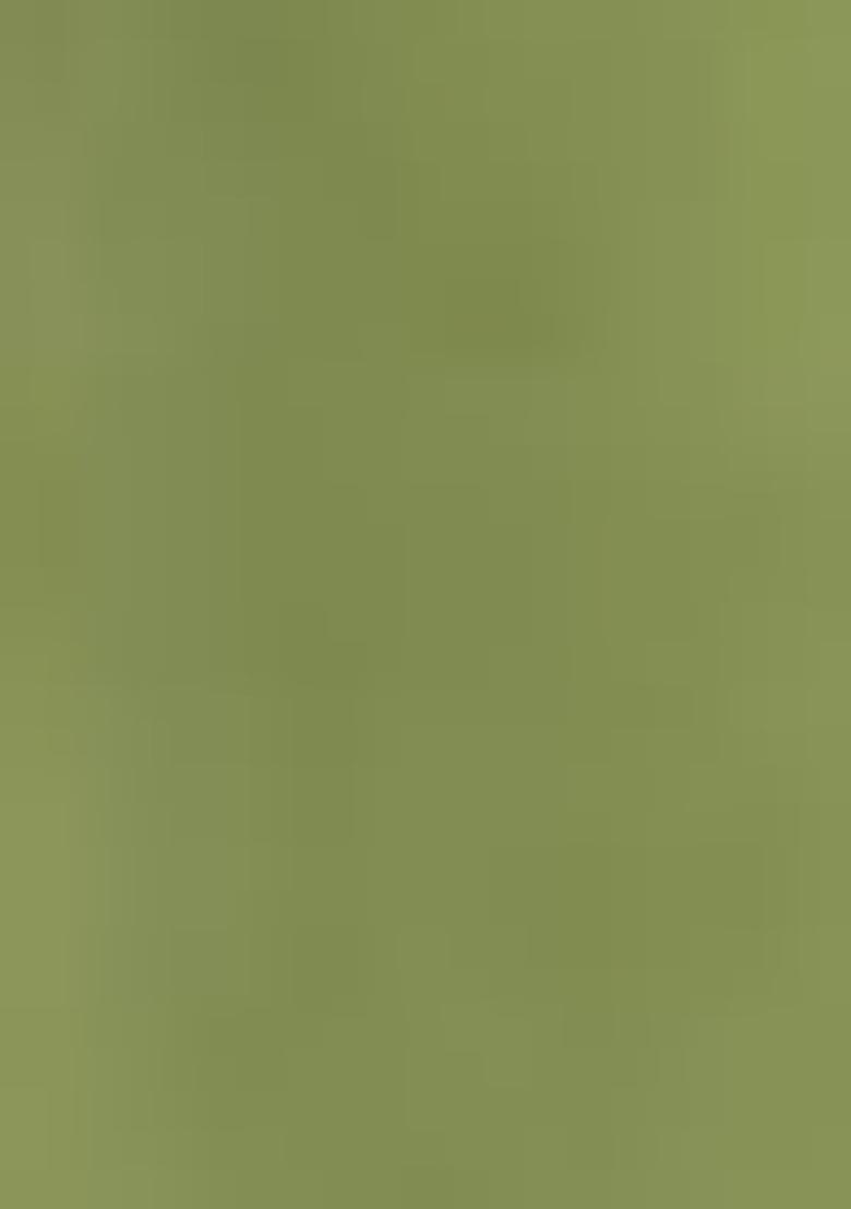 Green Embroidered Organza Kurta Set