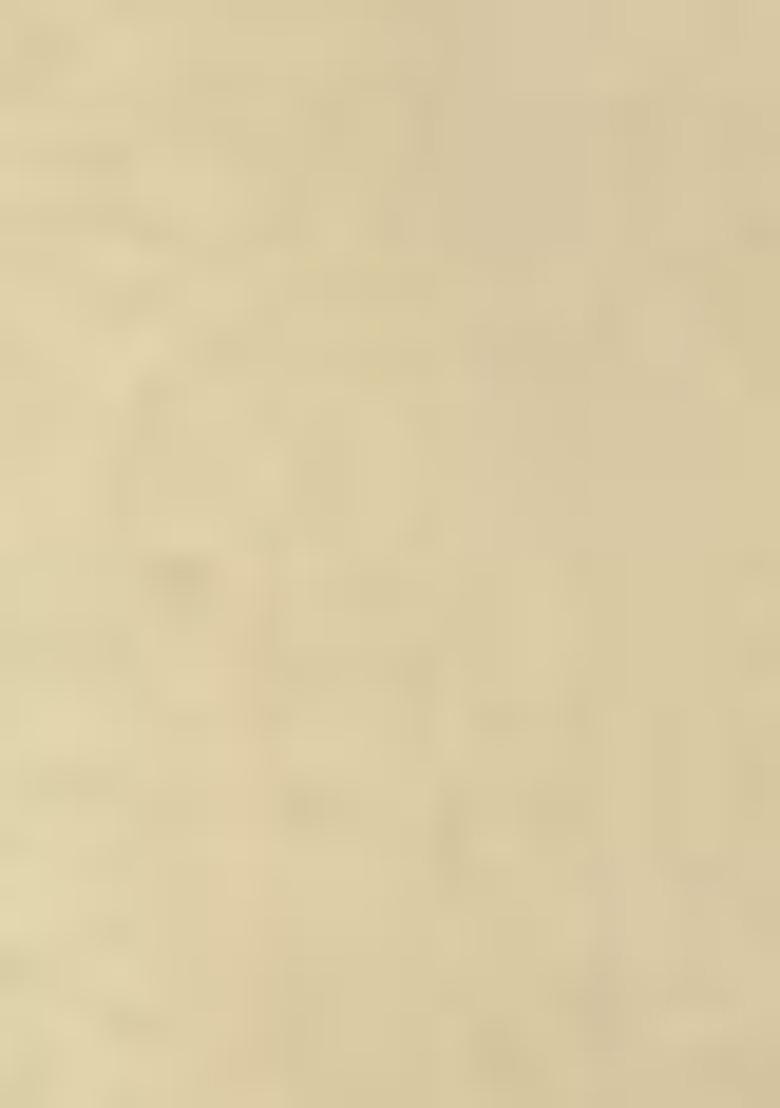 Yellow Mirror Work Georgette Kurta Set