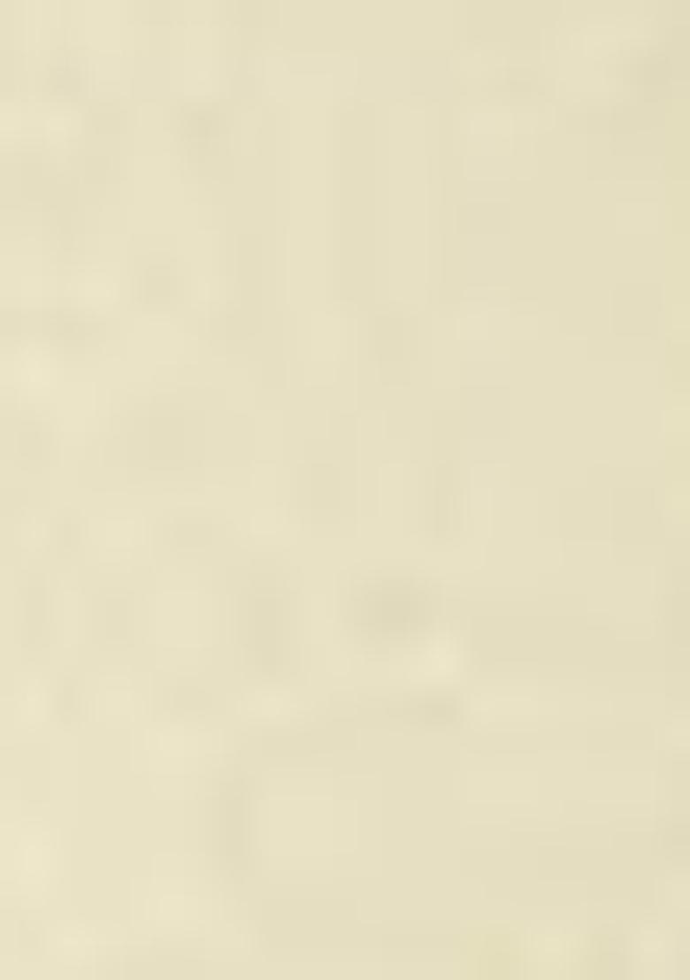 Yellow Embroidered Georgette Kurta Set