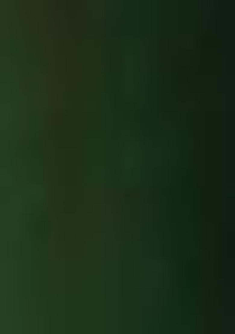 Green Sequin Embroidered Net Kurta Set