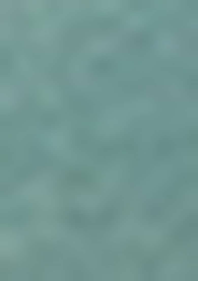 Mint Green Embroidered Silk Anarkali With Dupatta - Indya