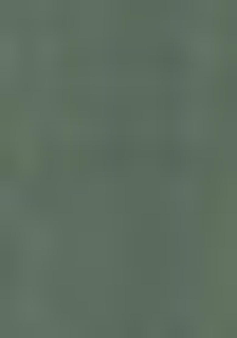 Green Embroidered Poly Blend Salwar Kameez