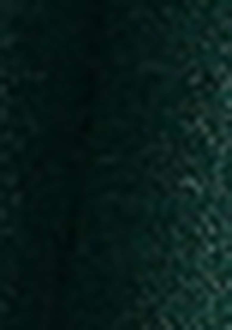 Green Embroidered Silk Blend Anarkali Set - Indya