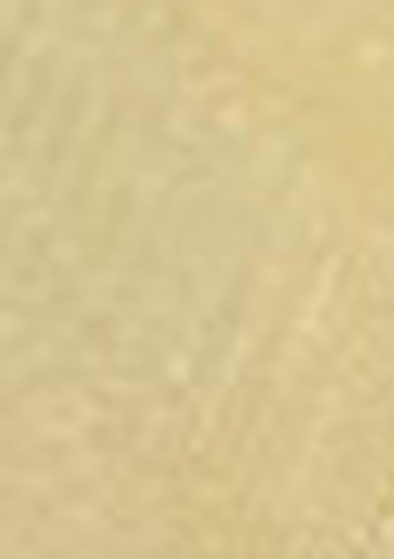 Yellow Embroidered Georgette Anarkali set - Indya