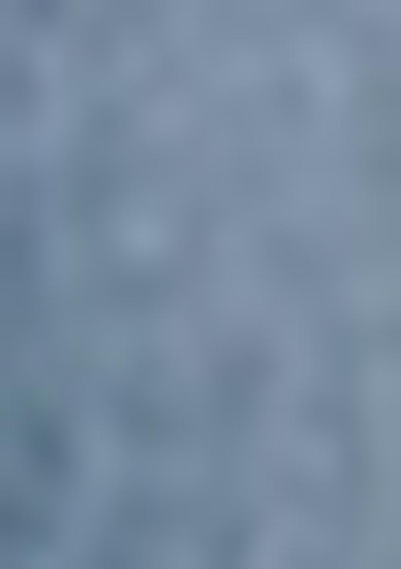 Grey Embroidered Chinnon Salwar Kameez