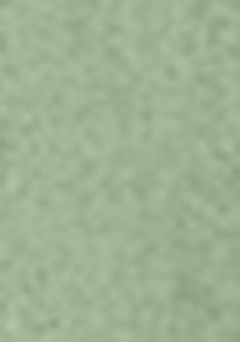 Green Embroidered Georgette Salwar Kameez