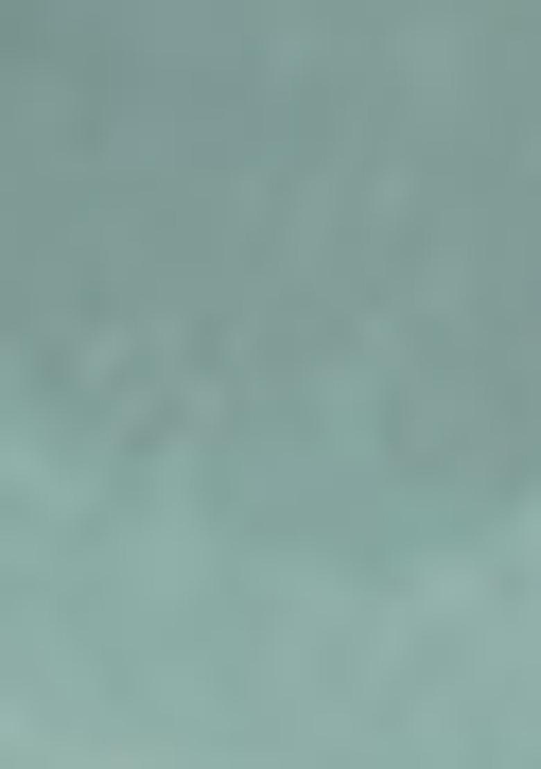 Green Embroidered Georgette Salwar Kameez