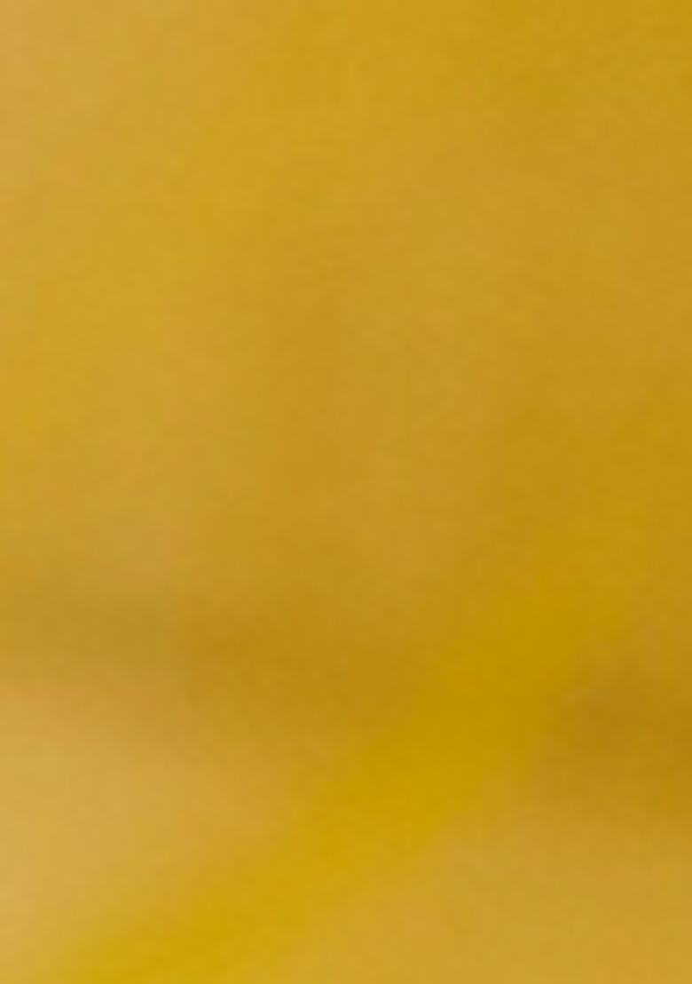 Yellow Embroidered Georgette Anarkali set