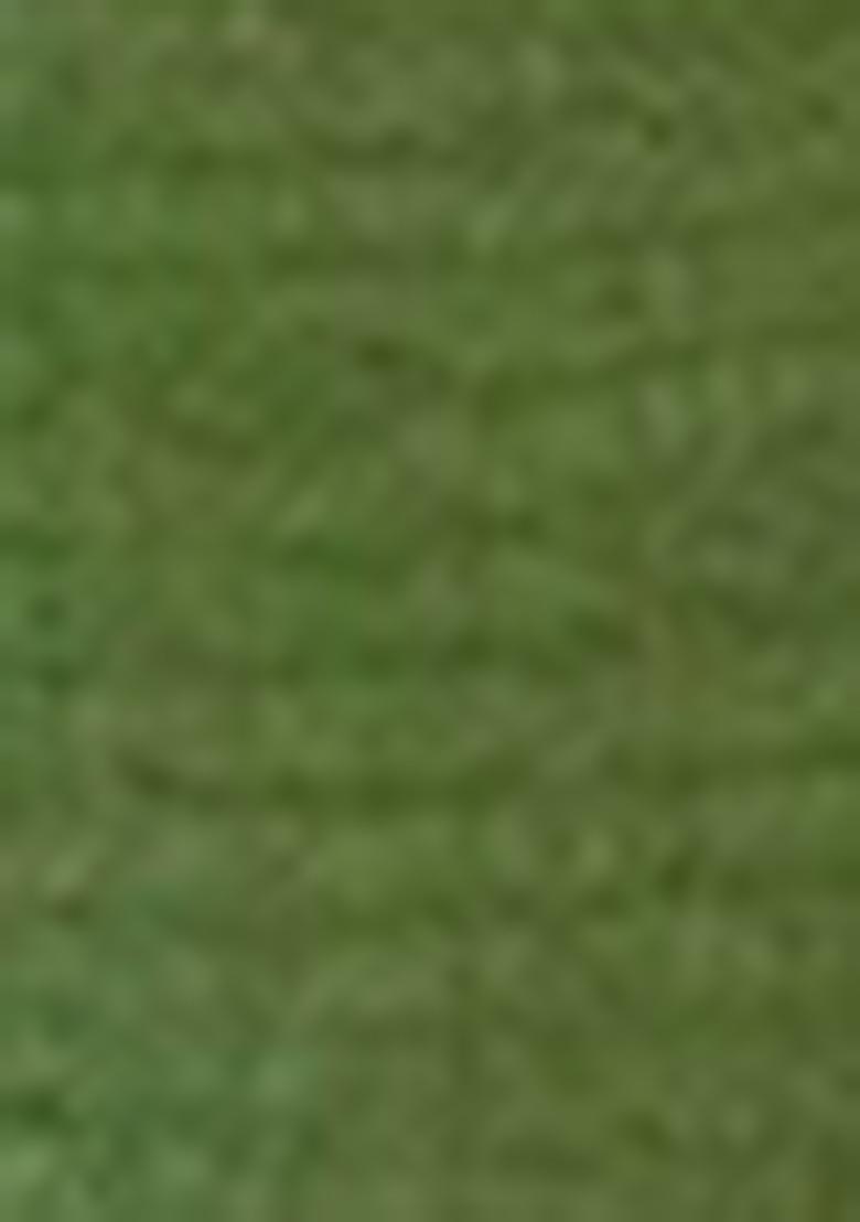 Green Embroidered Chinnon Anarkali set