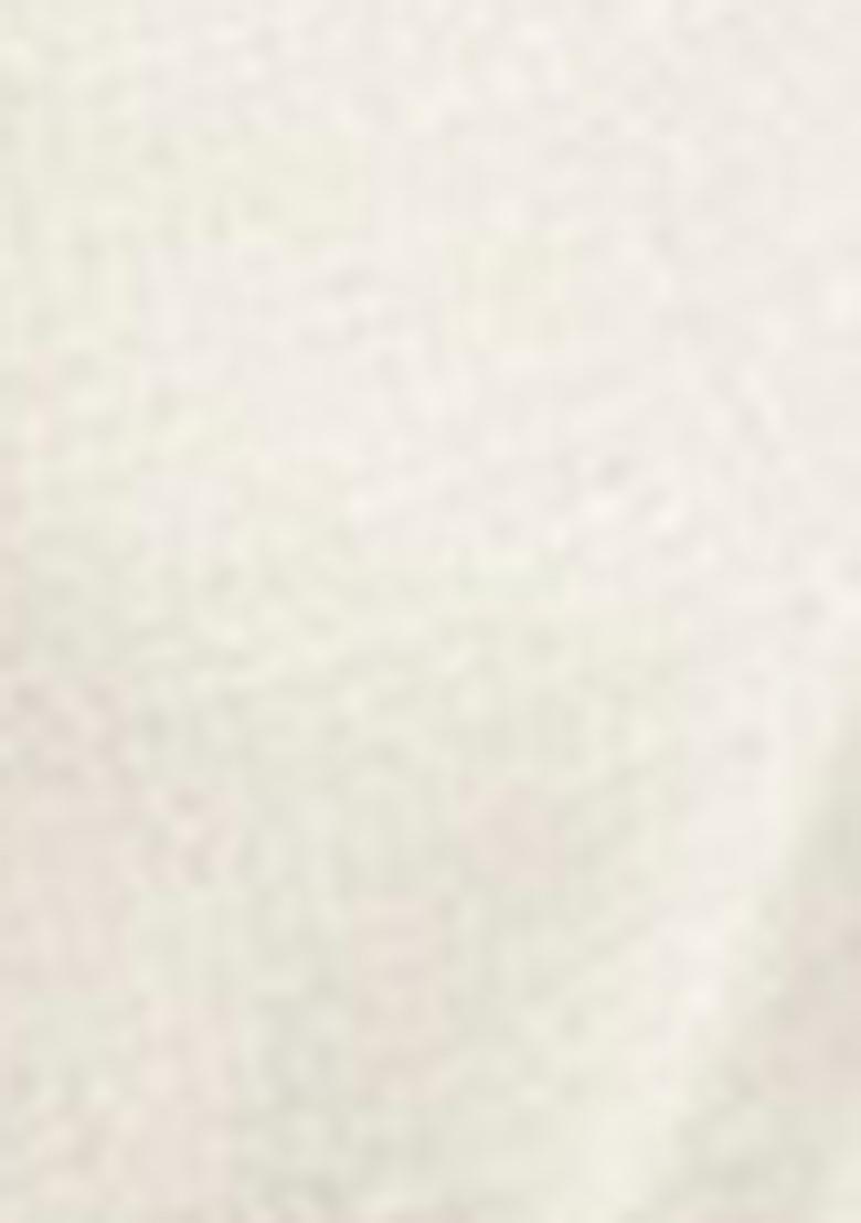 Cream Embroidered Chinnon Salwar Kameez