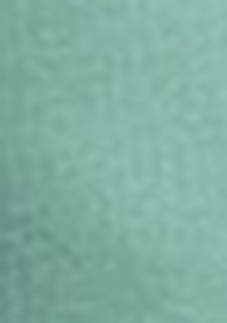 Green Embroidered Chinnon Salwar Kameez