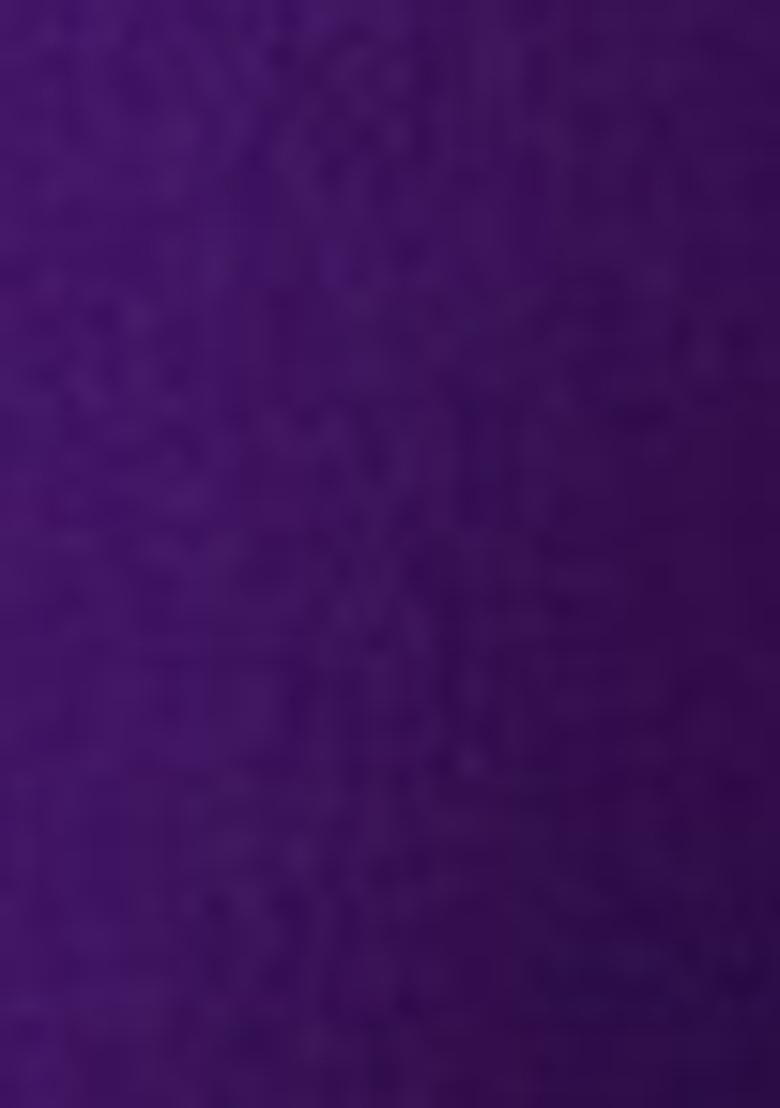 Violet Embroidered Chinnon Salwar Kameez