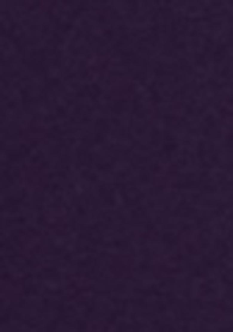 Violet Embroidered Chinnon Salwar Kameez