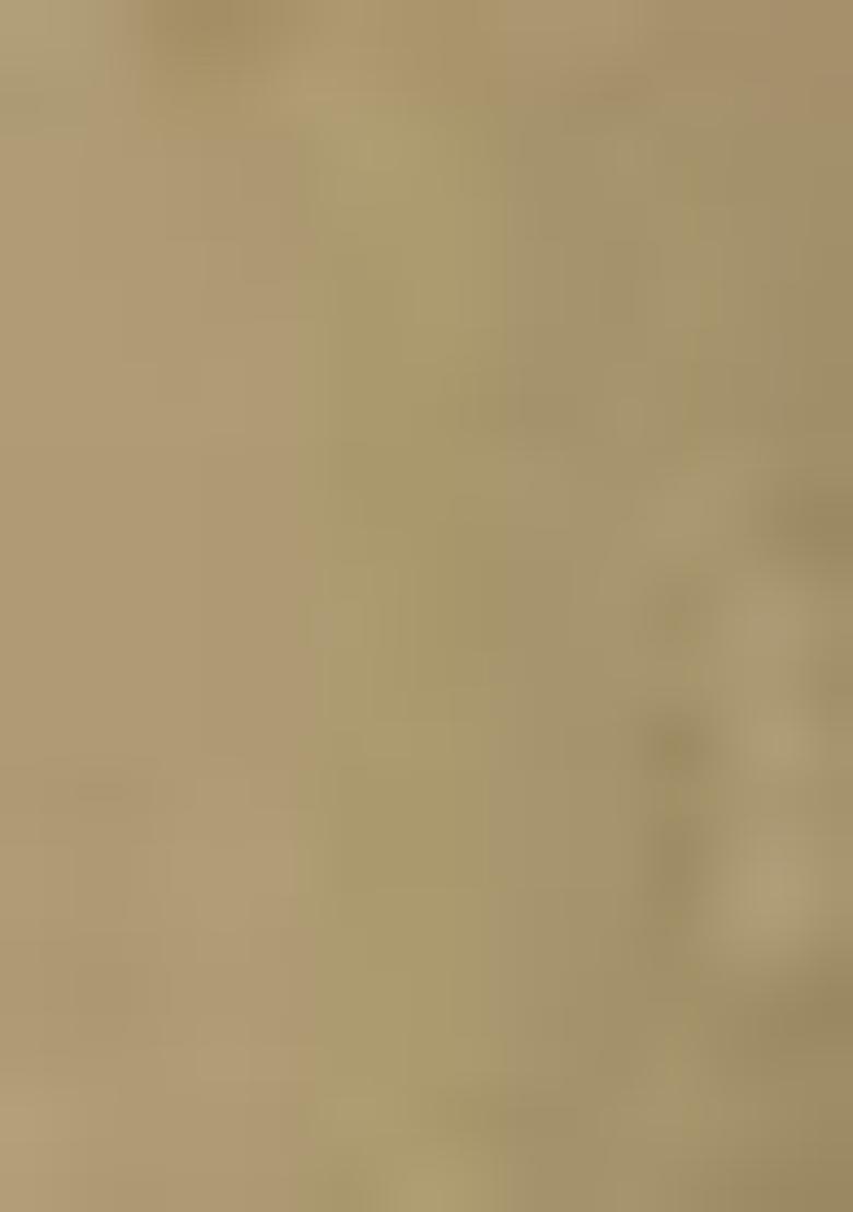 Beige Embroidered Chinnon Anarkali set