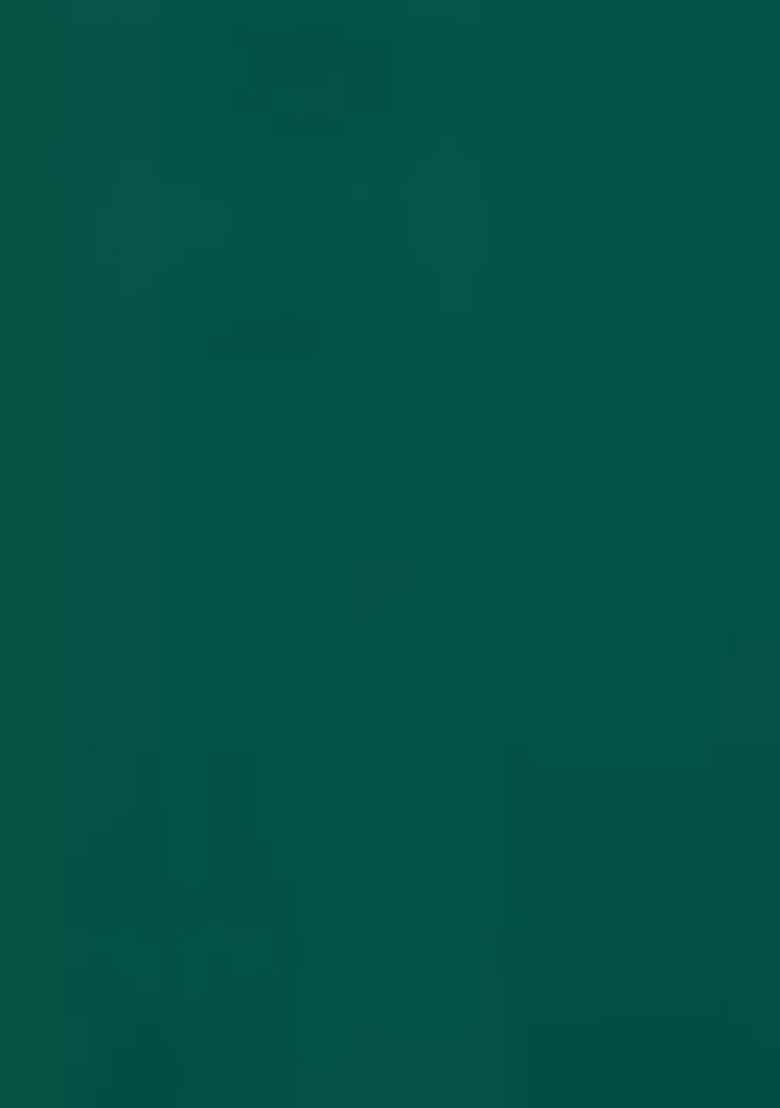Green Embroidered Chinon Pakistani Suit Set - Indya