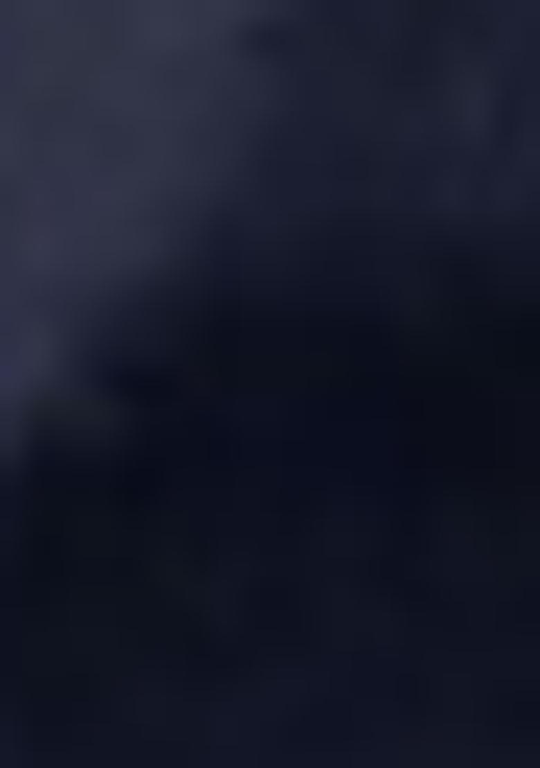 Navy_Blue Embroidered Silk Salwar Kameez