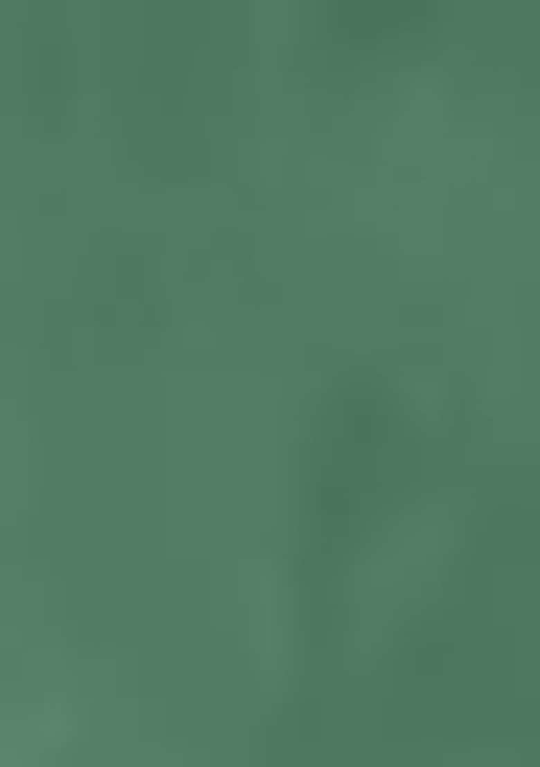 Green Embroidered Silk Salwar Kameez - Indya