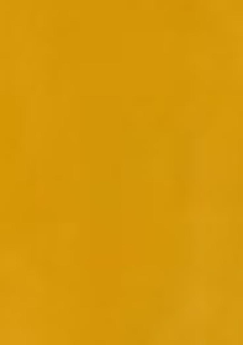 Yellow Embroidered Georgette Salwar Kameez