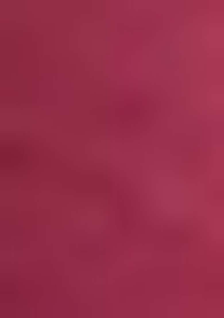 Maroon Embroidered Chiffon Salwar Kameez - Indya