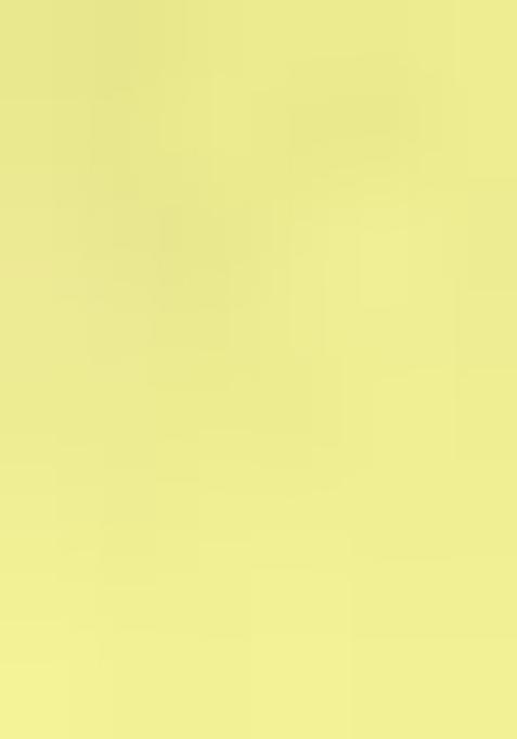 Green Embroidered Viscose Salwar Kameez