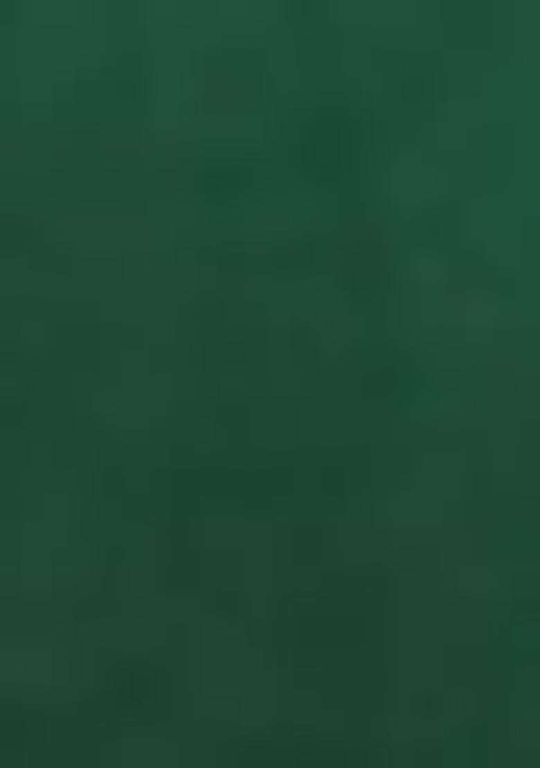 Green Zari Work Banarasi Silk Dress Material