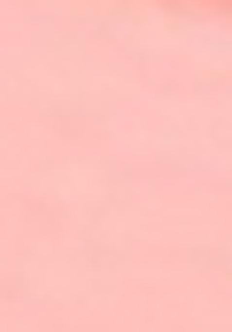 Peach Zari Work Banarasi Silk Dress Material