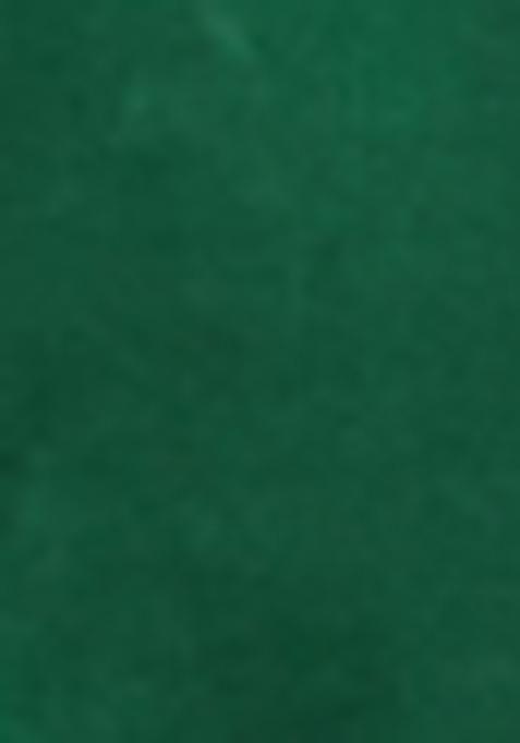 Bottle Green Zari Work Banarasi Silk Dress Material