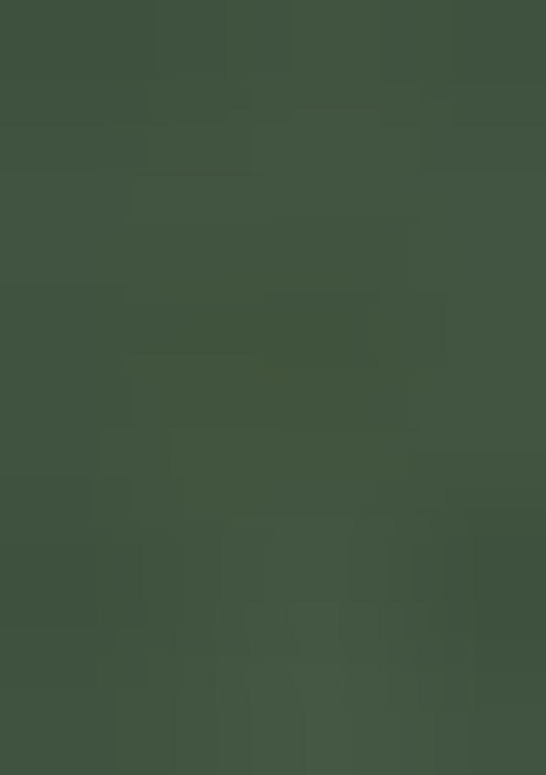 Green Zari Embroidered Georgette Salwar Kameez - Indya