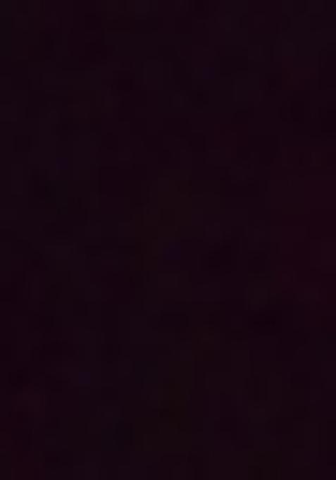 Purple Zari Embroidered Velvet Salwar Kameez